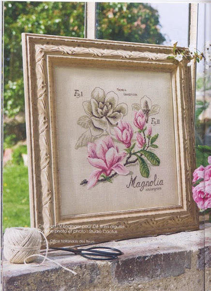 Герань, Véronique Enginger