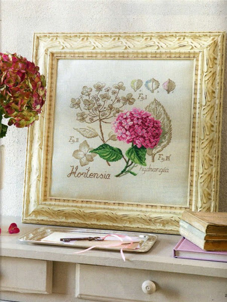 Герань, Véronique Enginger