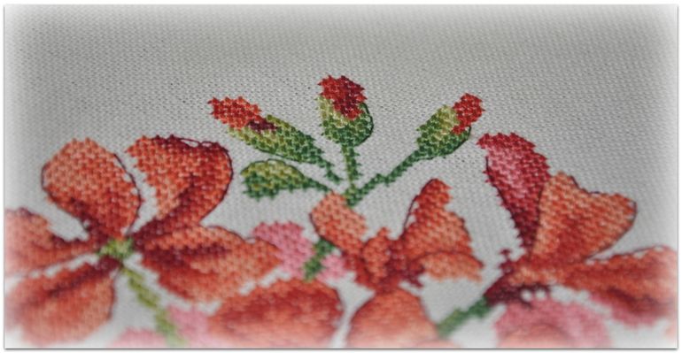 Герань, Véronique Enginger