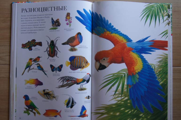 Большой атлас животных