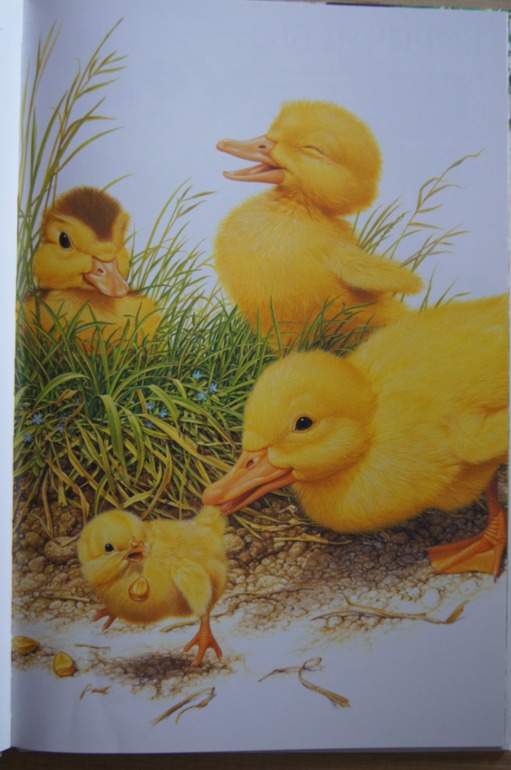 Большой атлас животных