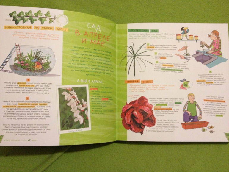 Пополнение ;)