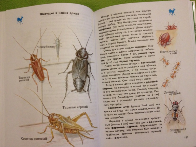 Пополнение ;)