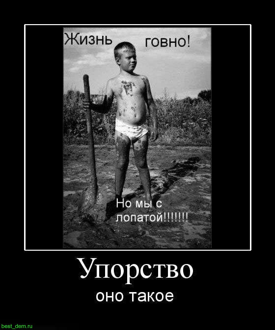 58ec1fce5cde3100b8a19d7bb6cc7647.jpg