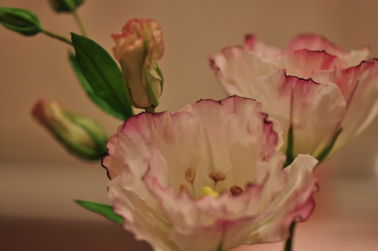 Мои цветочки с курсов ))