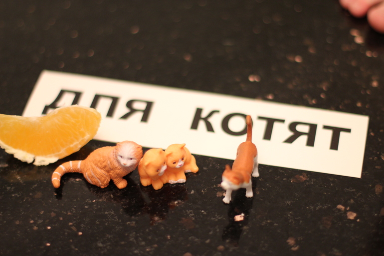 букварь с пеленок