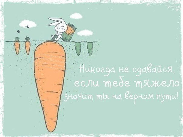 ПредНОВОГОДНИЙ Марафон - 13 день. Пой частушки Бабка-Йожка