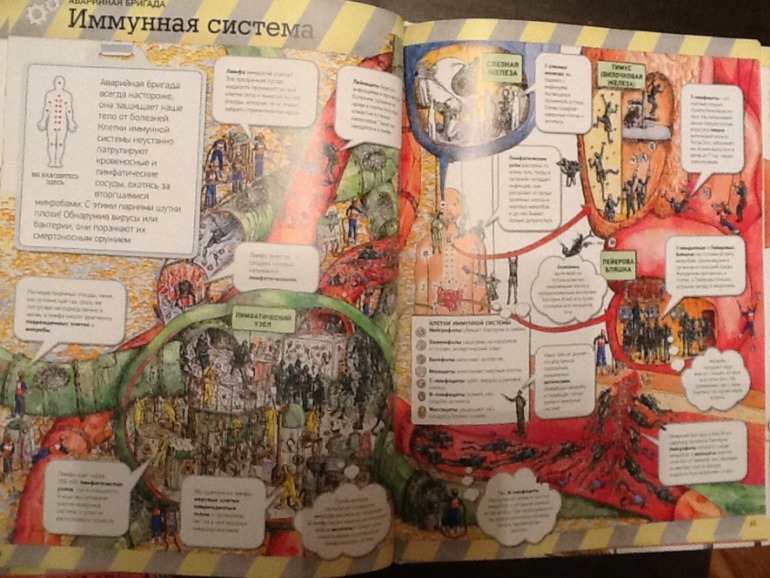 Тело человека!!!!