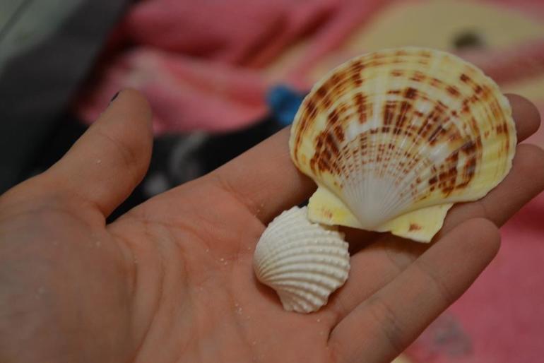 Сенсорная коробочка