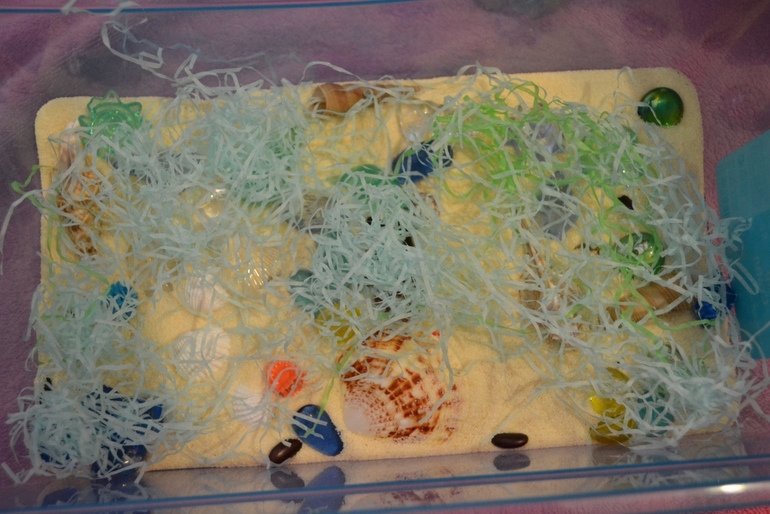 Сенсорная коробочка