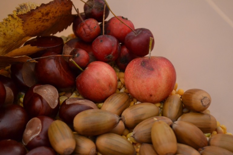 Тематические дни