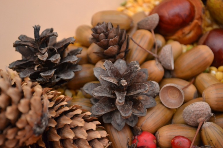 Тематические дни