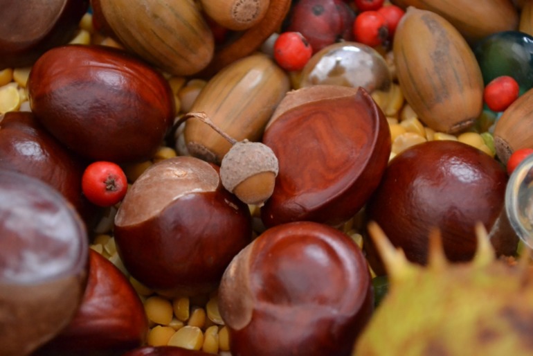 Тематические дни