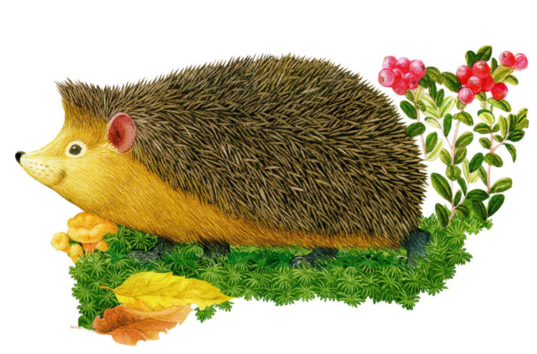 Тематические дни