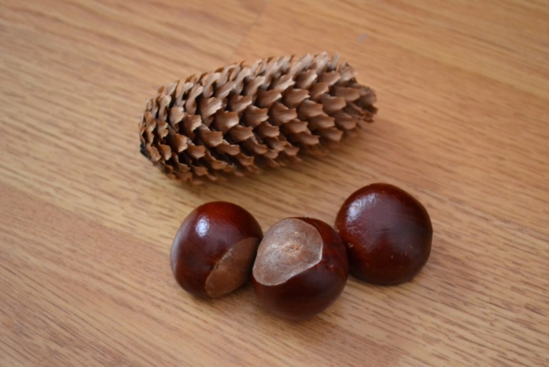 Тематические дни