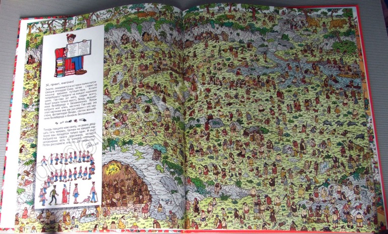 Книги про Волли