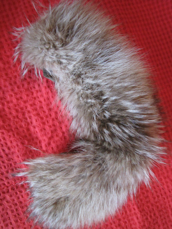продам опушку енот 55 см 1300