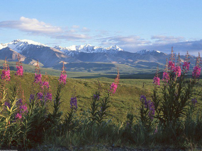 Контрольное задание № 16. Увеличение насыщенности