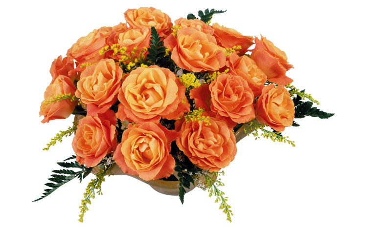 С Днем рождения, Наталья!!!