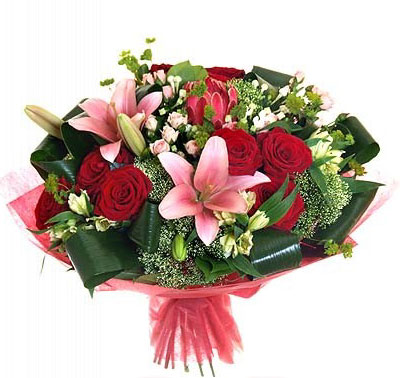 Выпускницы НОЯБРЯ!!!