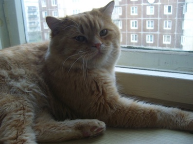 22-ая неделька - что меня РАДУЕТ ;)