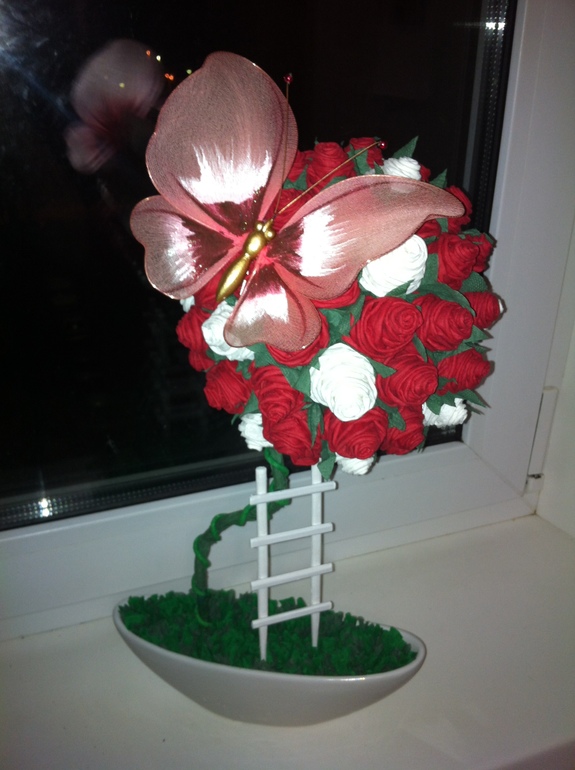 Мои первые топиарчики.