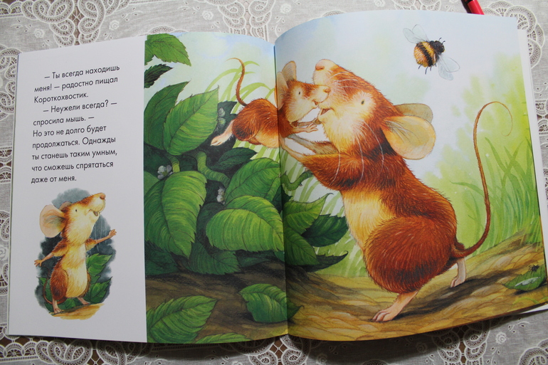 Наши книжные новинки