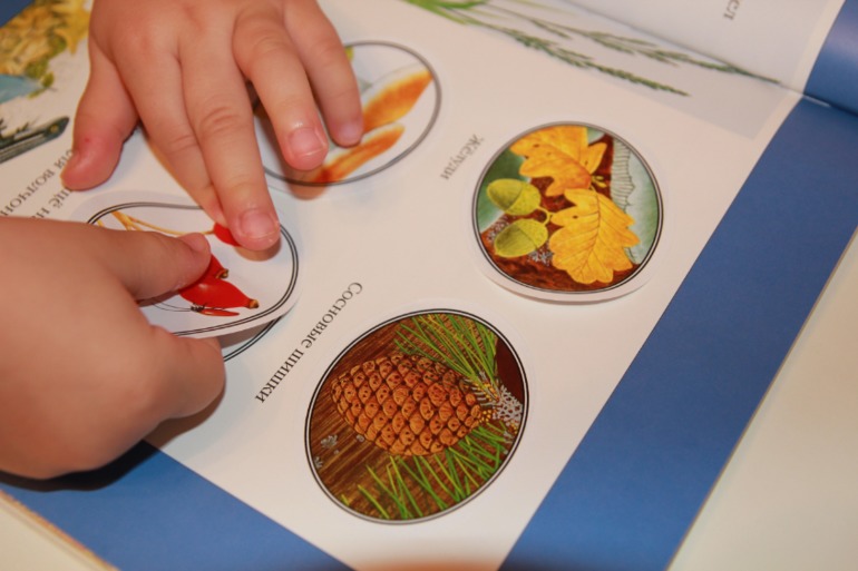 Осеннее творчество Анастасии