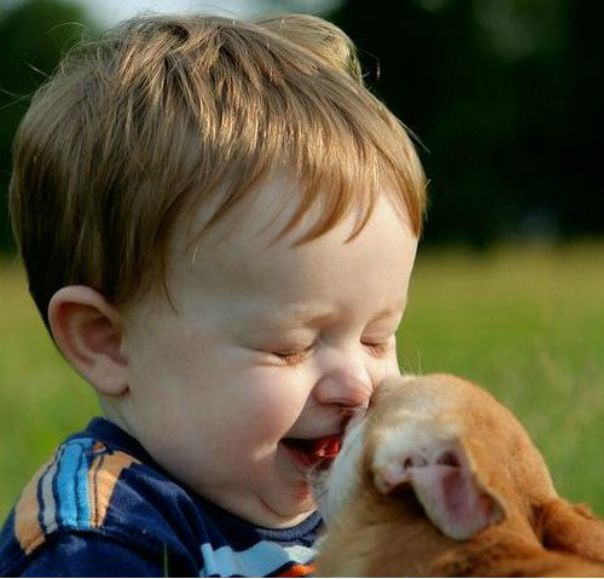 Воображалки