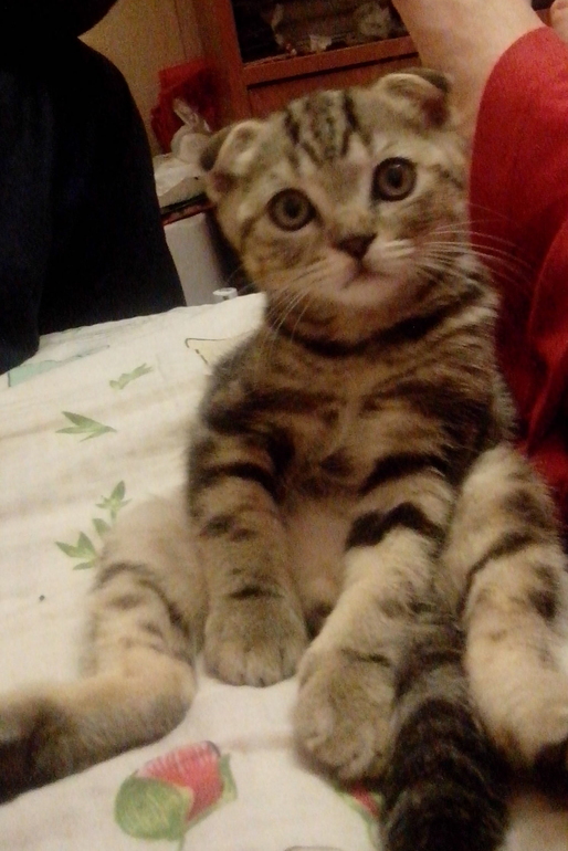 Нам уже 6 мес.