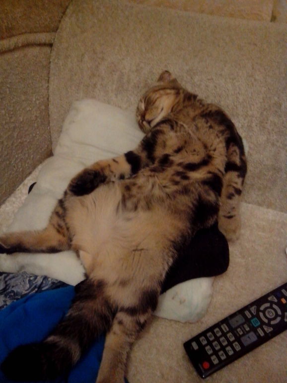 Нам уже 6 мес.