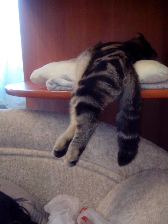 Нам уже 6 мес.