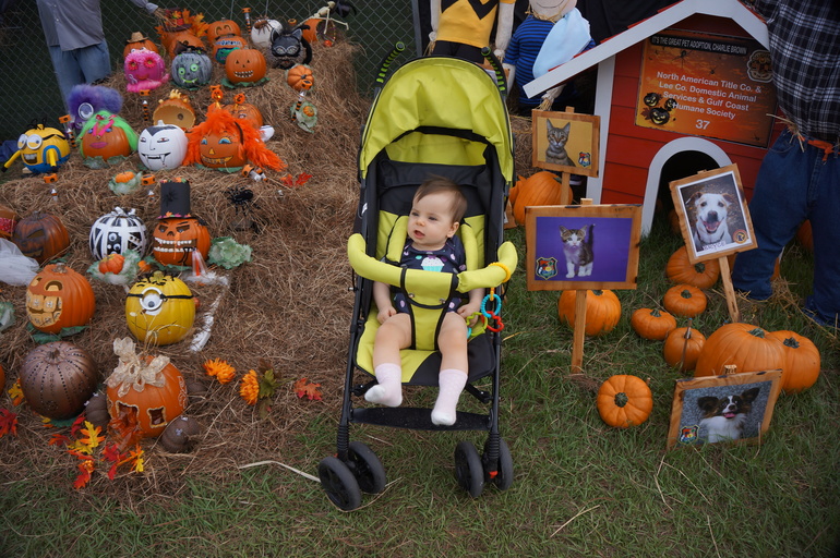 Наша маленькая жизнь в солнечном штате США