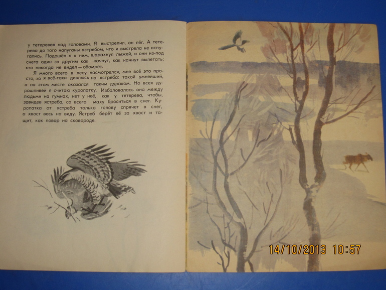 Маршак с Митуричем и неизвестный Носов