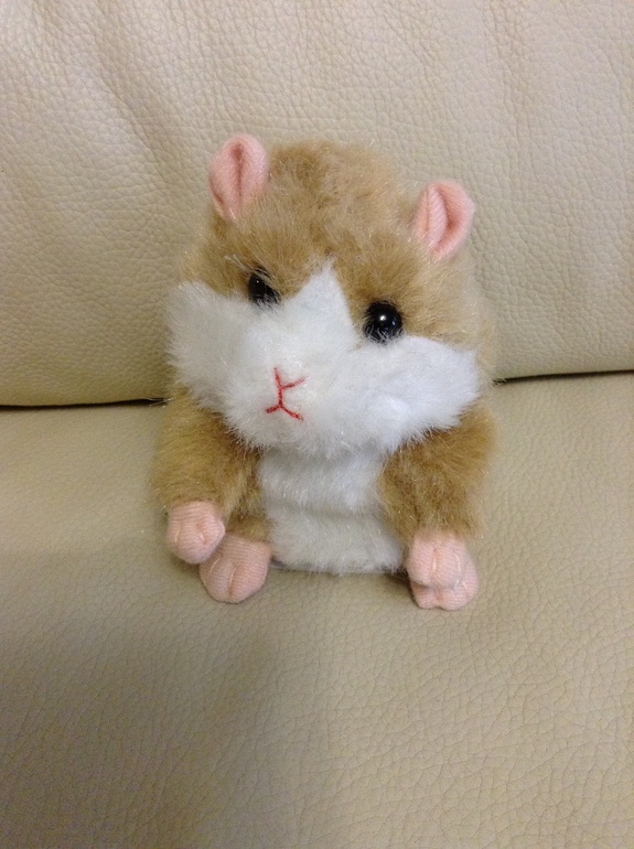 А вот и говорящий хомяк.