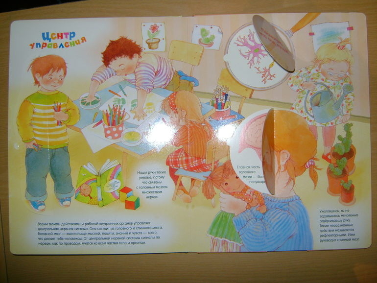 Энциклопедии с секретами