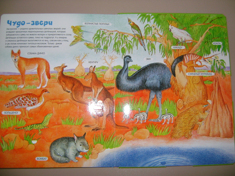 Энциклопедии с секретами