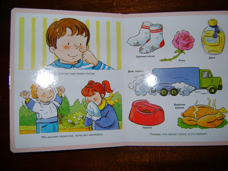 Энциклопедия малыша