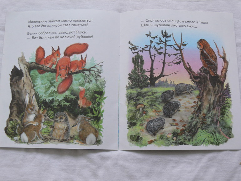 Книги для малышей - нежно любимые книжки изд.Адонис:)