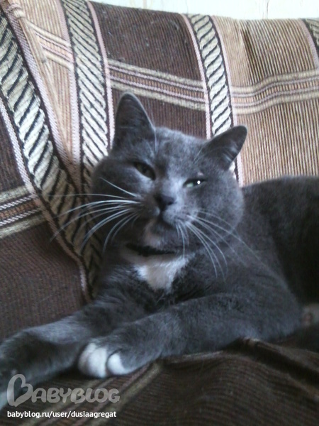 Внезапное исчезновение