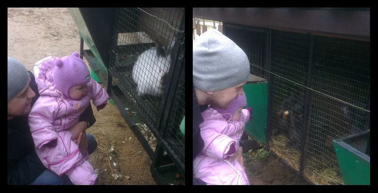 Великолепная семерка