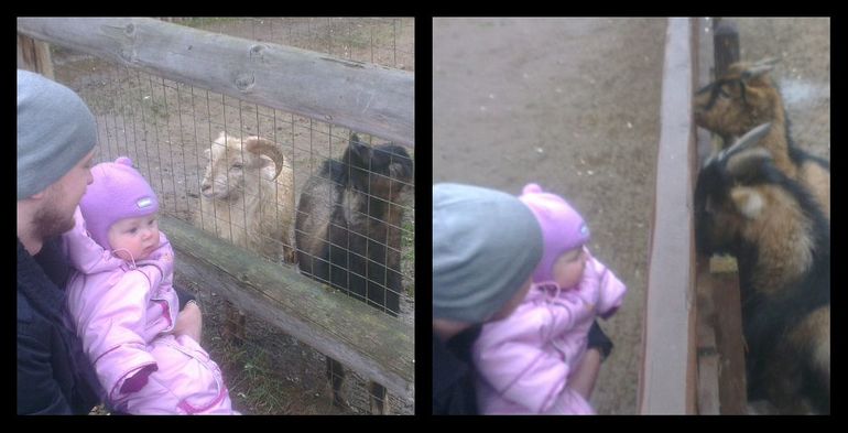 Великолепная семерка