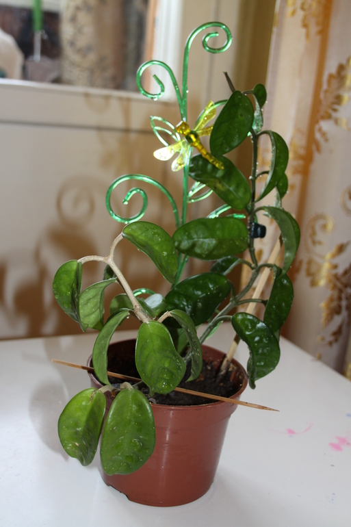 Провела перепись населения.Ну и фото на память.