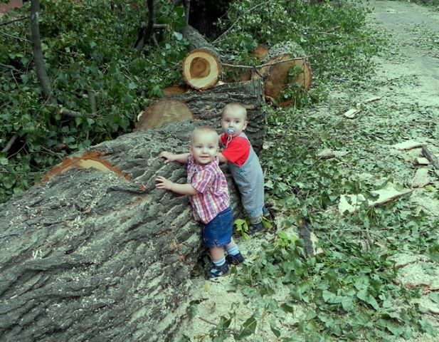 Наша семья!