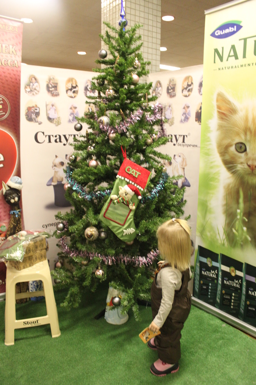 О том, как провели первые 2 недели декабря