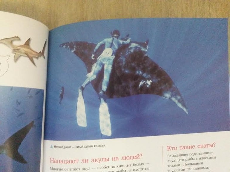 Наше морское