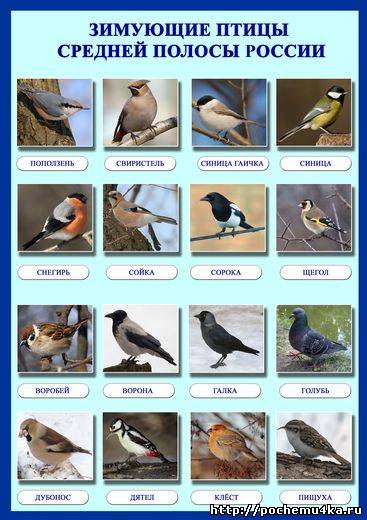 О том, как провели первые 2 недели декабря