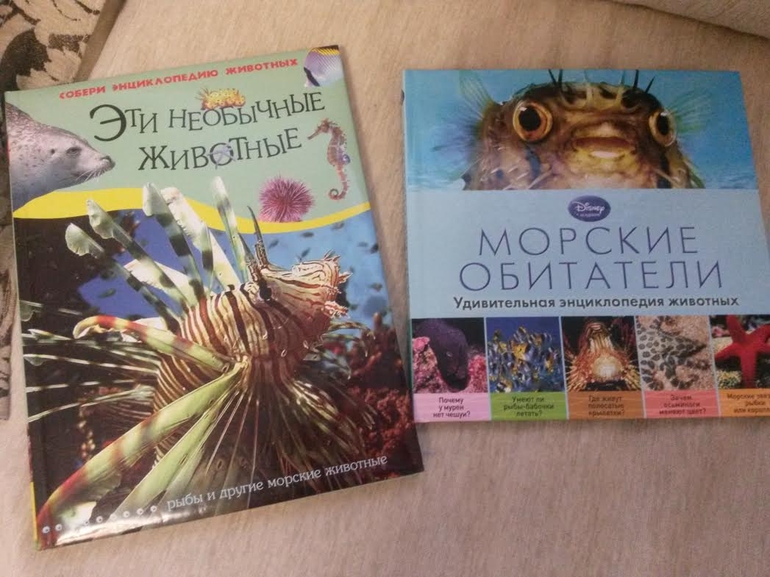 Наше морское