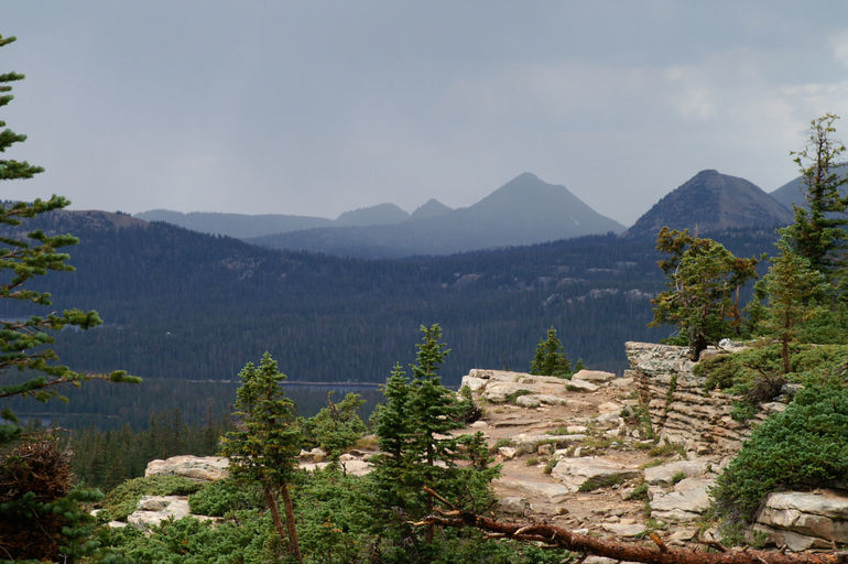 Фотогалерея госпиталей и родильных отделений в Солт-Лейк-Сити.
