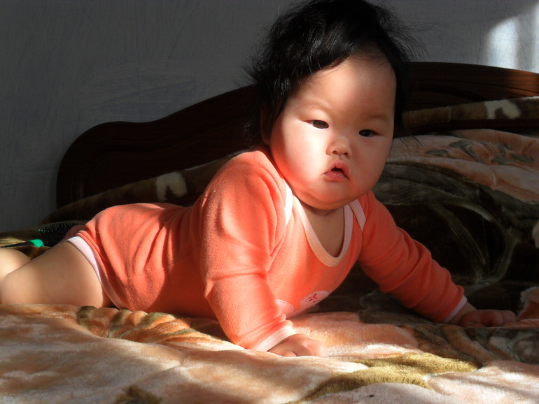 dff430ab46e7331a44c6f83658f0932f.jpg